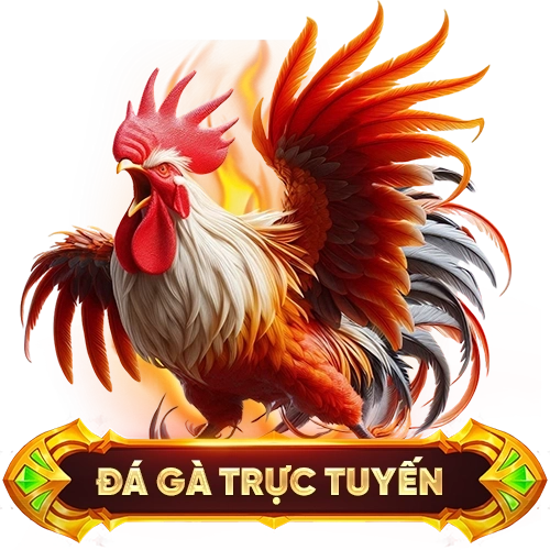 đá gà trực tuyến 9BET